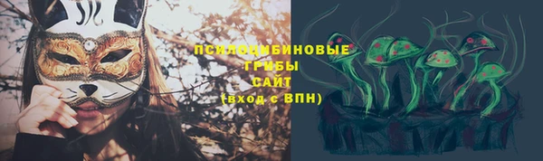 эйфоретик Абаза