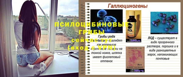 индика Абдулино