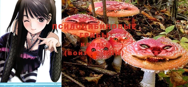 индика Абдулино