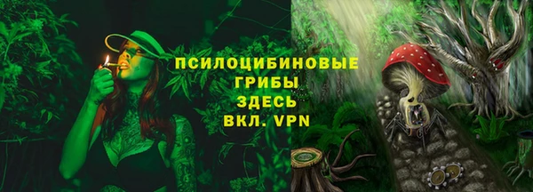 герыч Алексин