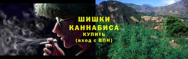 сатива Михайлов