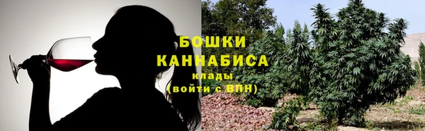 сатива Михайлов
