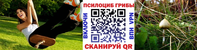 Галлюциногенные грибы Magic Shrooms Новое Девяткино